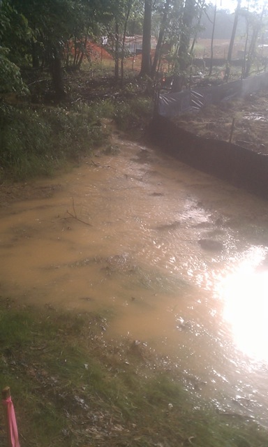 Muddy Bolin Creek