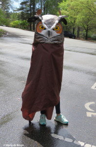owl-img_3036c2a9-maria-de-bruyn-res